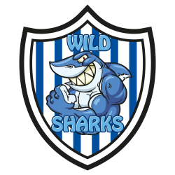 Wild Sharks