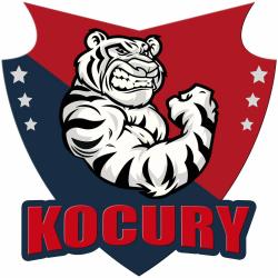 Kocury