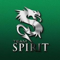 Team Spirit MSU